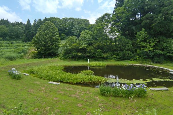 　里山の宝箱　火打池